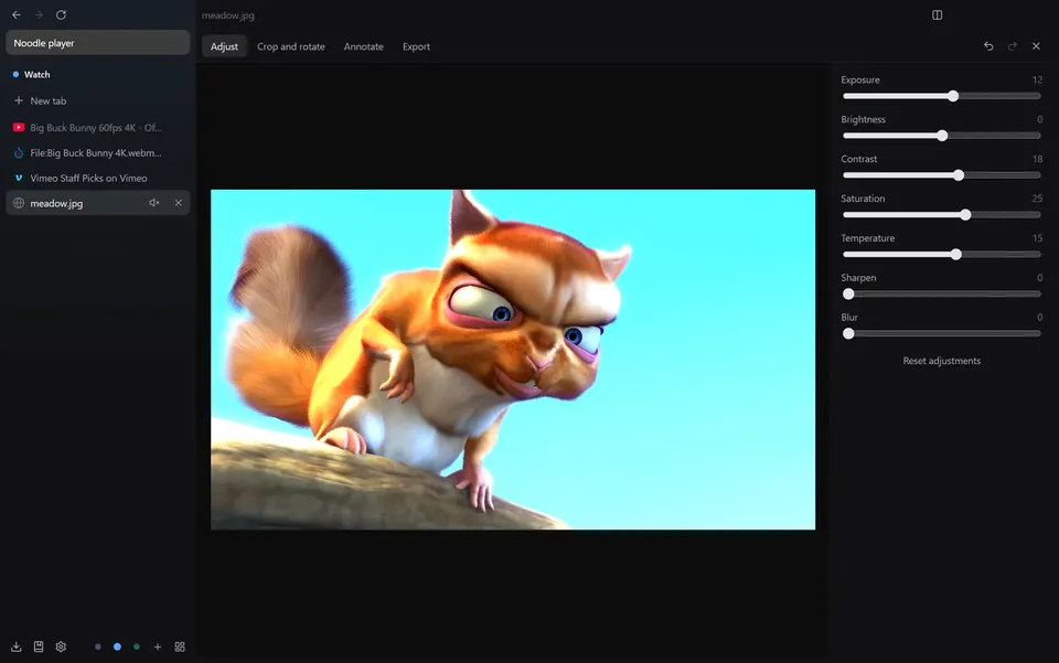 The image editor with the Adjust panel open
