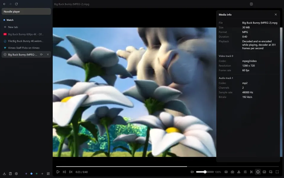 An MPEG-2 file playing with the Media info panel open